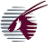 Qatar Airlines